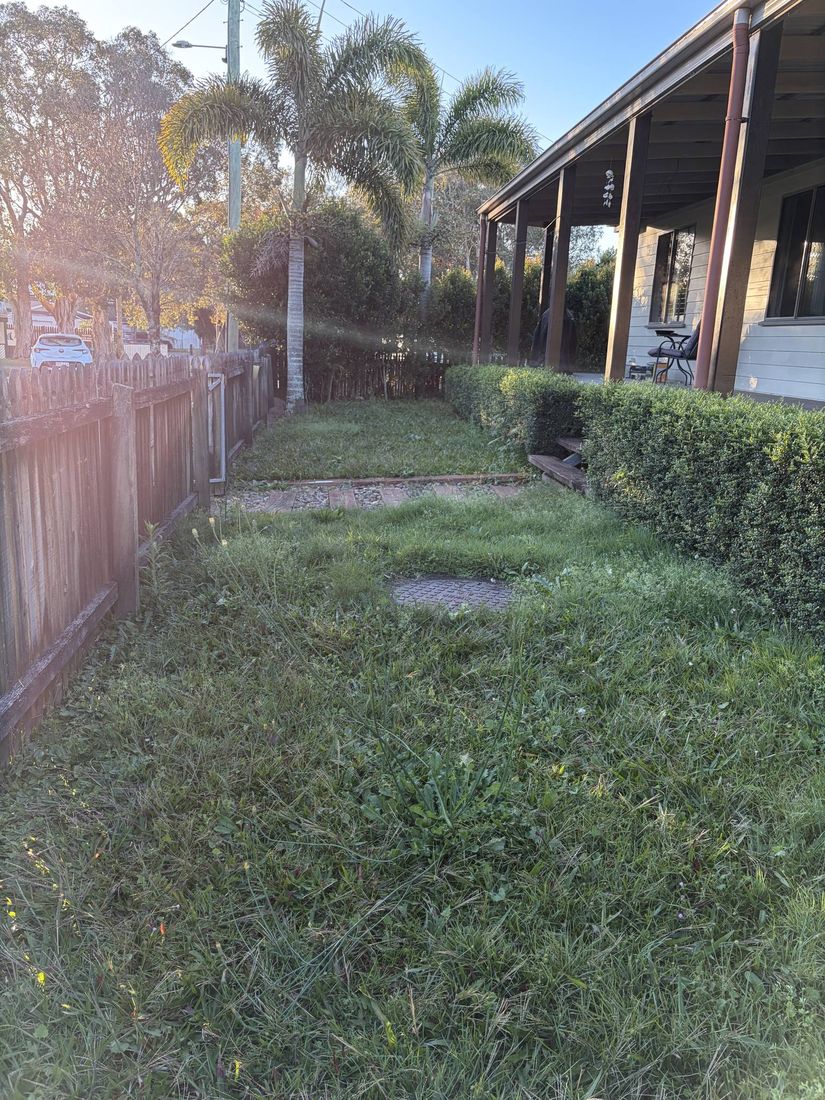Freshly mown backyard lawn with a trimmed hedge line on the Sunshine Coast
