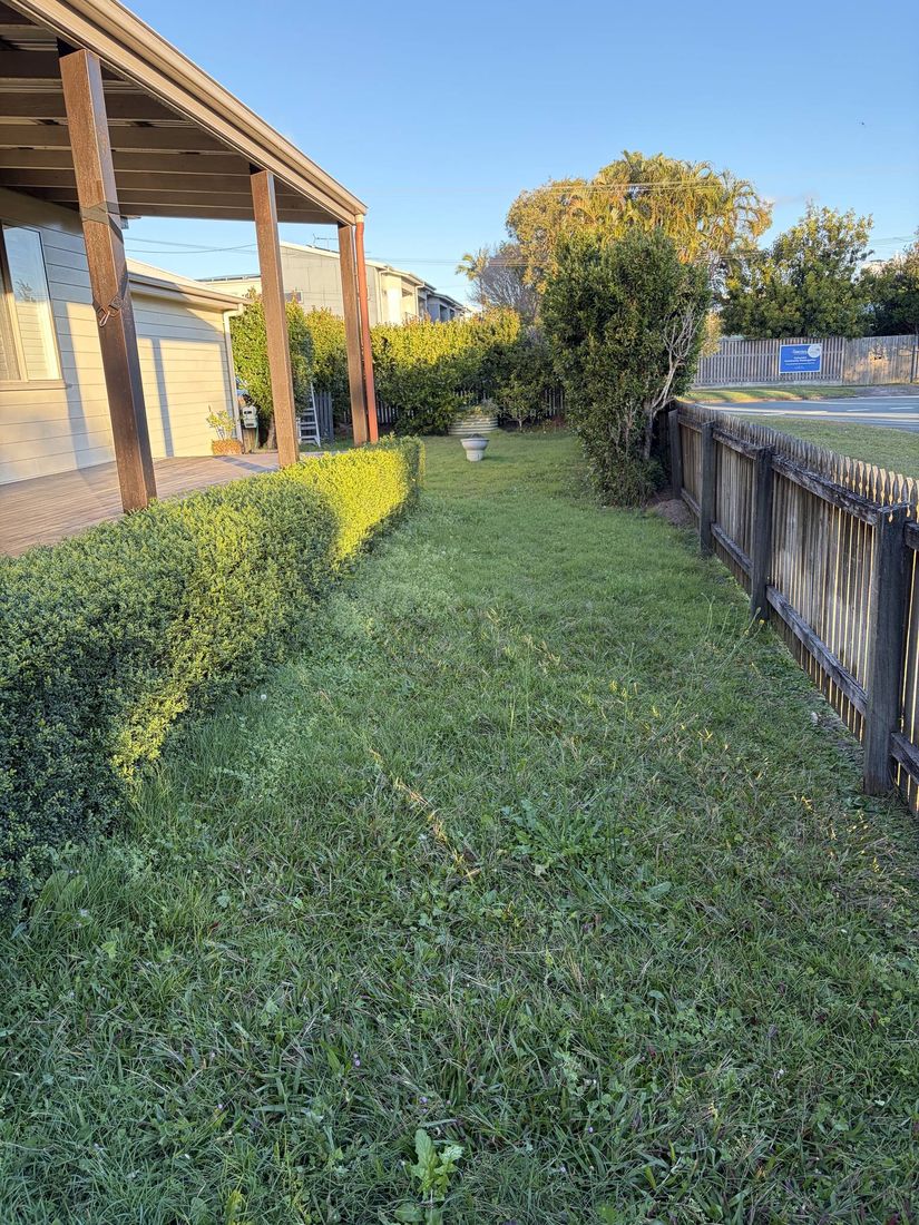 Mown backyard lawn and hedge beside a deck
