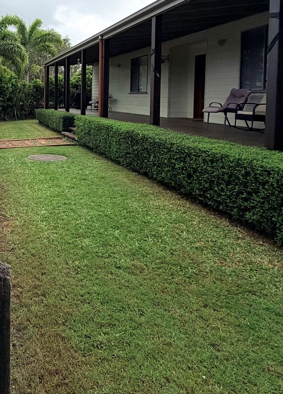 After: mown, edged and shaped front garden in Caloundra