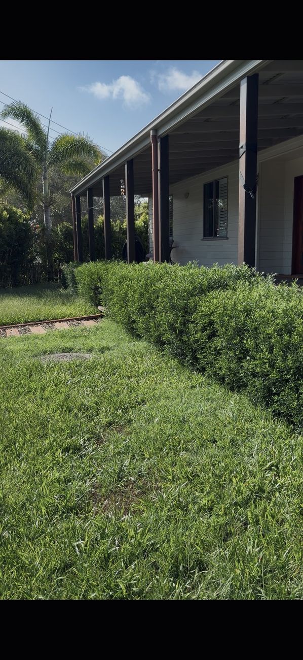 Before: overgrown front garden in Caloundra