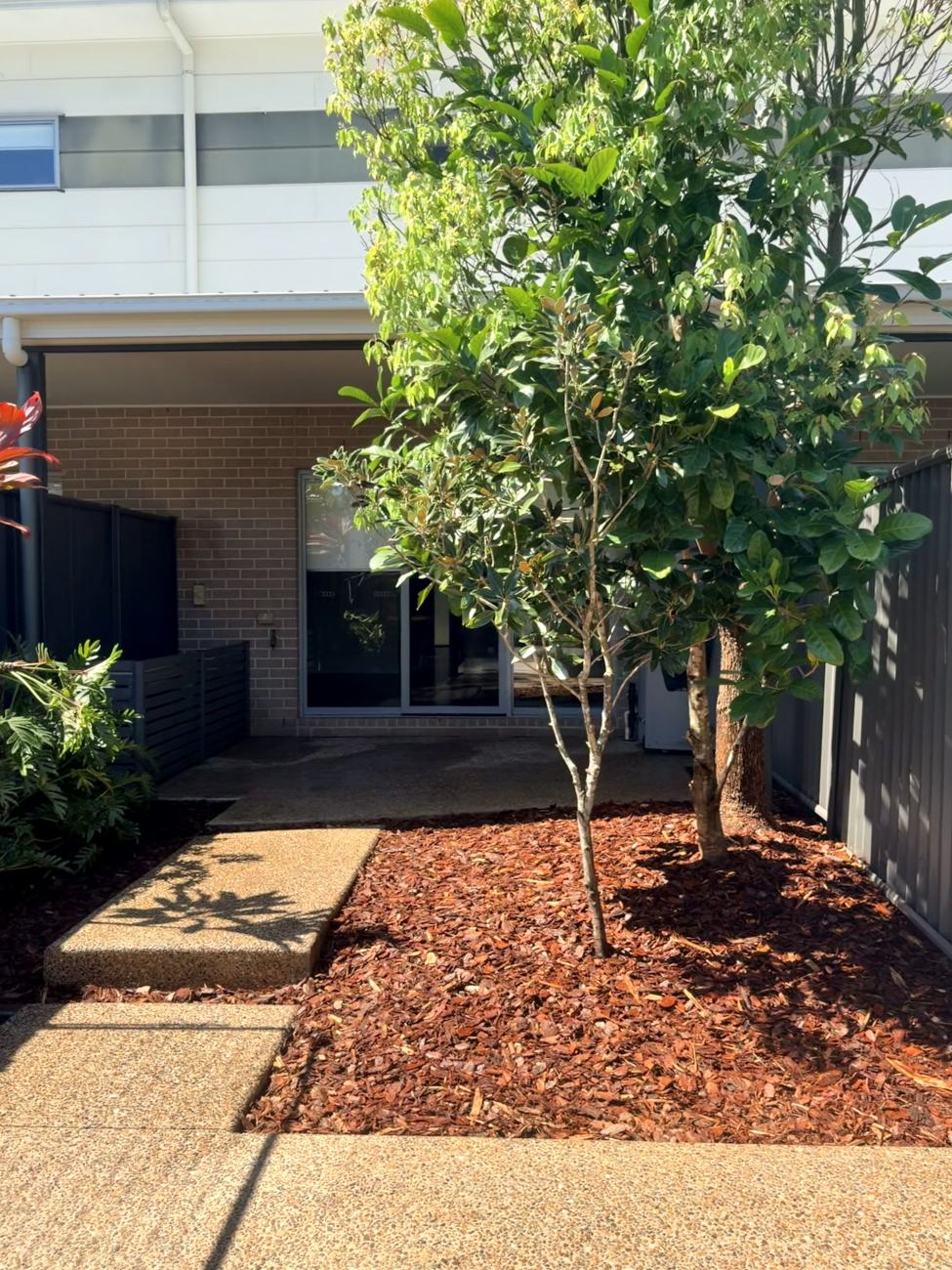 After: entrance garden with the tree crown-lifted and a fresh mulch bed laid, Meridan Plains